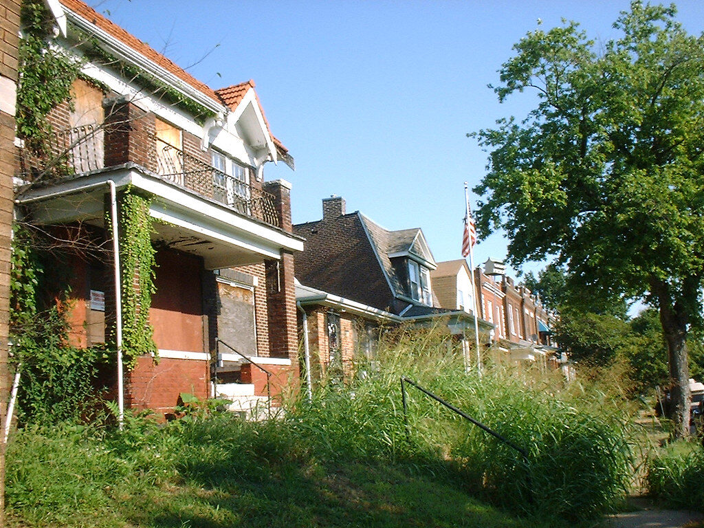 overgrown yard