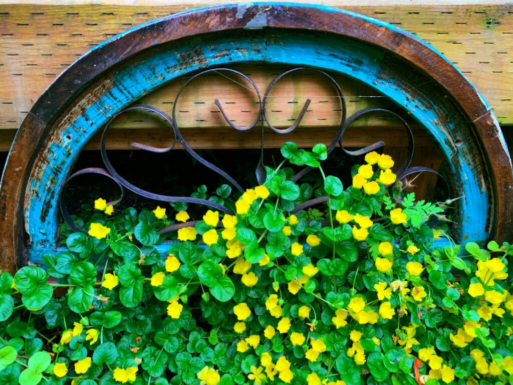 yellow flowers on brown wooden round container
