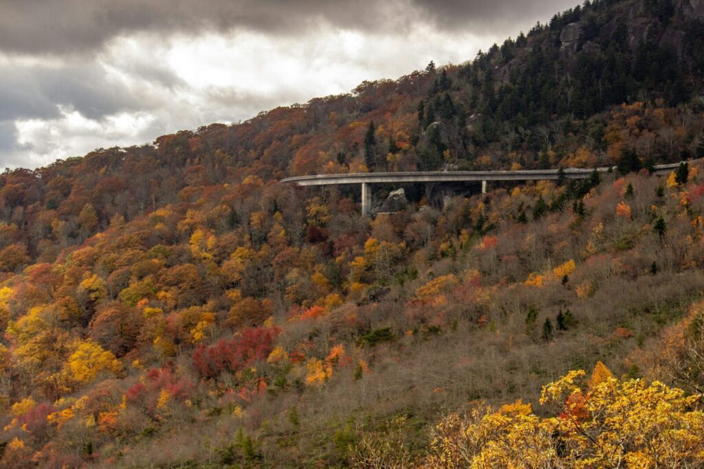 A stunning autumn landscape of the Blue Ridge Parkway with vibrant fall foliage and majestic mountains.