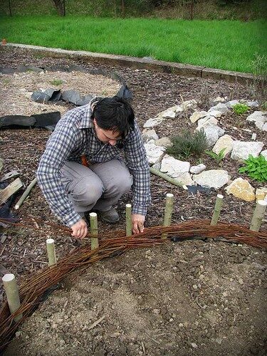 Garden Bed
