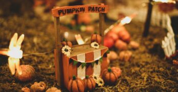 a pumpkin patch with a sign that says pumpkin patch