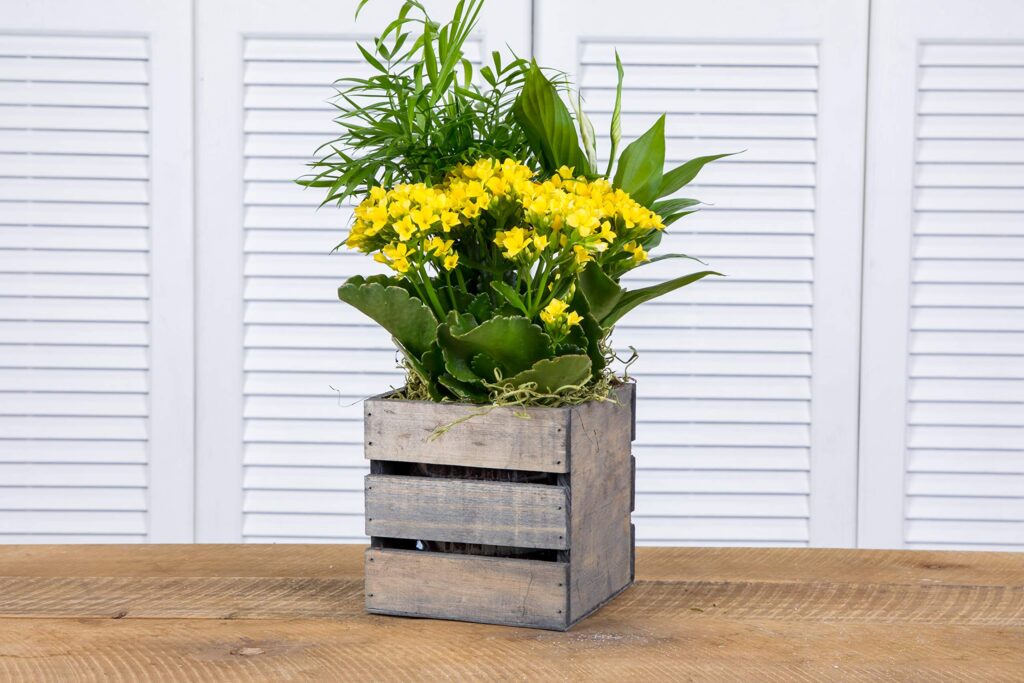 Rustic Crates Filled with Seasonal Blooms