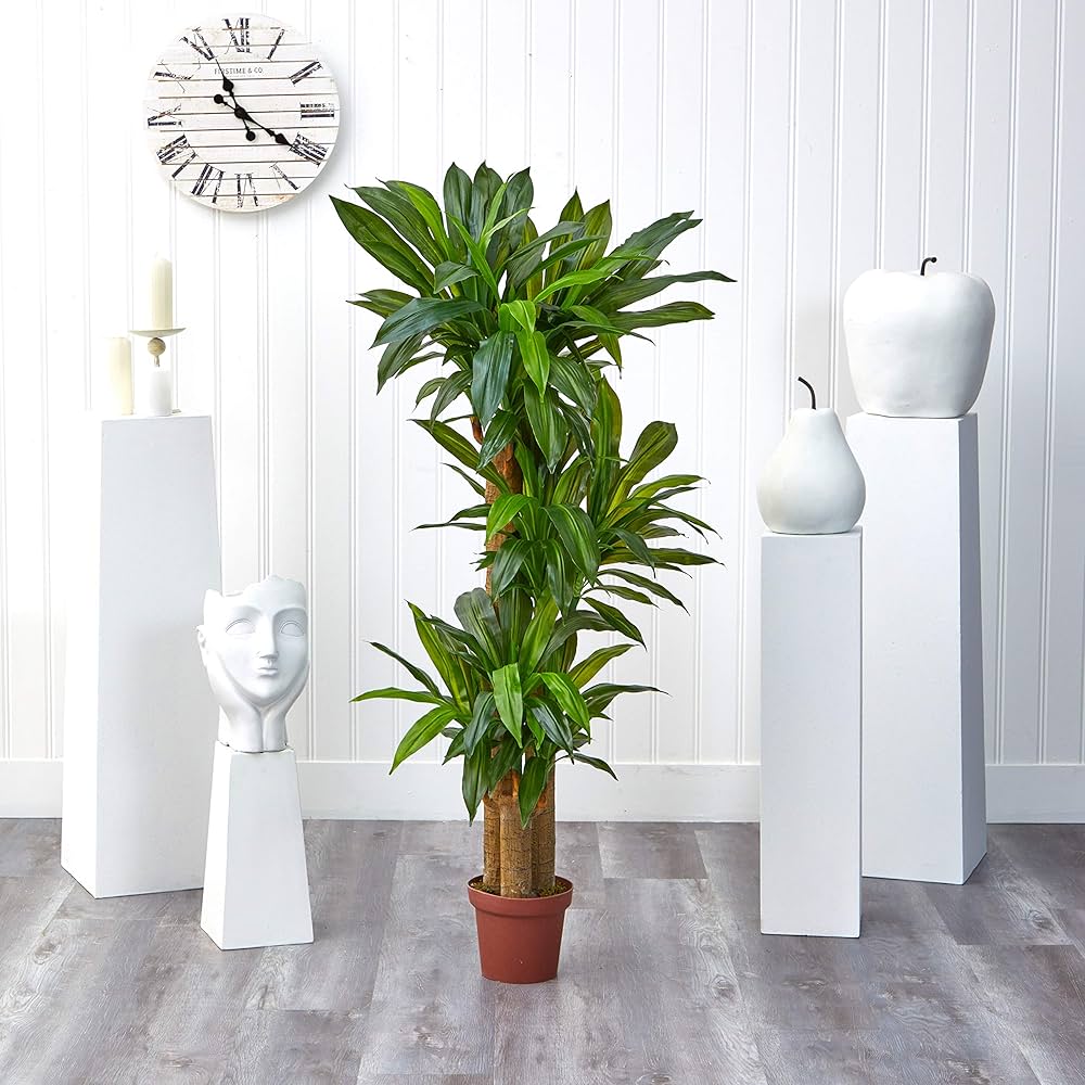 Corn Stalks Framing Potted Plants
