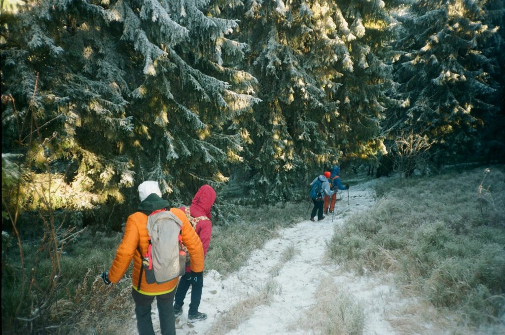 People hike on a snowy trail through a forest.