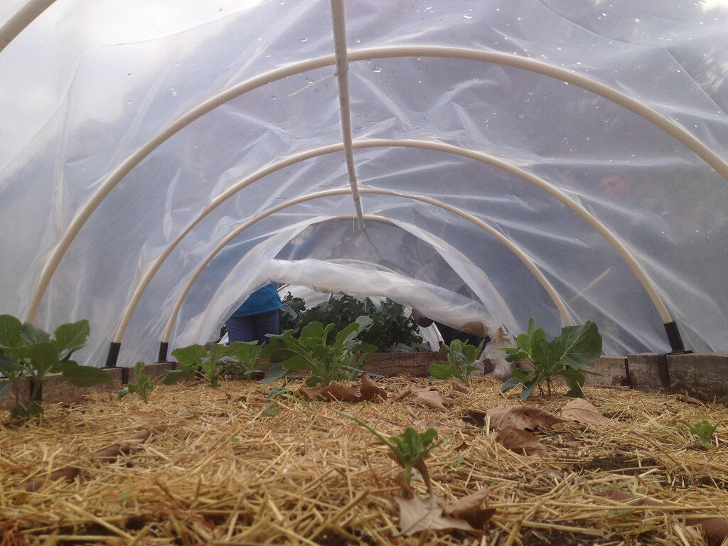 Garden Bed