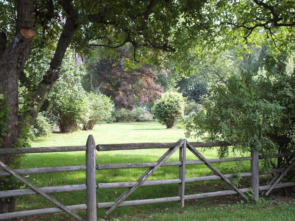 fence, split rail, farm, old, rustic, field, landscape, trees, nature, rails, fence rails, fences, gate, fenceposts, meadow, wood, green landscape, green wood, green farm, green field, green old