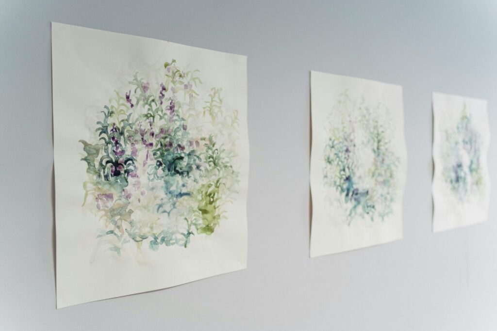 Three watercolor paintings with abstract leaf designs hanging on a light-colored wall.