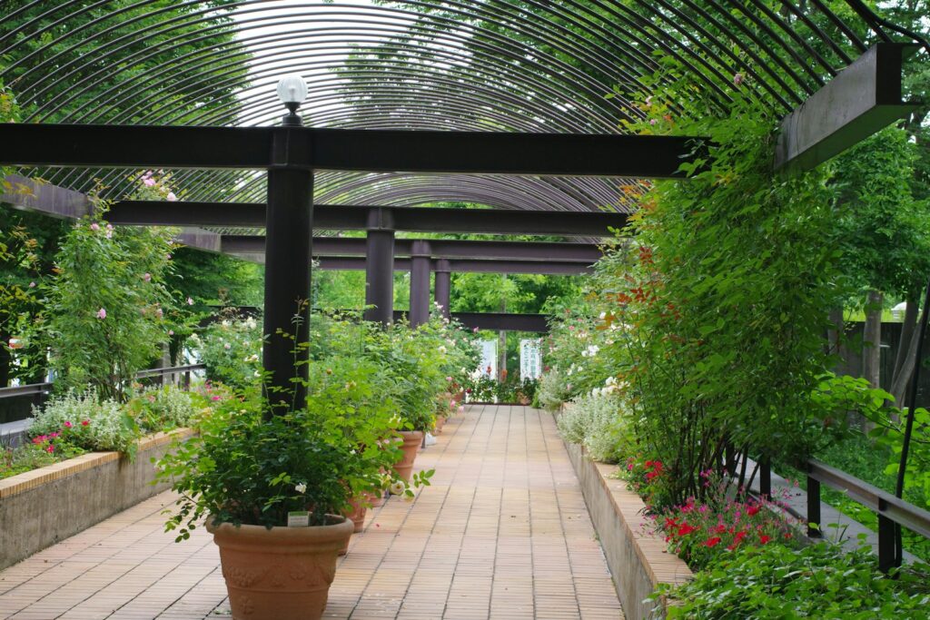 A walkway in a garden filled with lots of plants