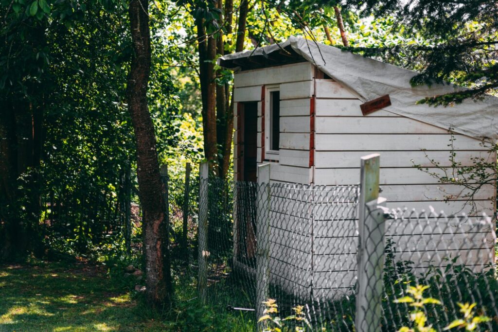 A rustic wooden shed in a lush garden setting, ideal for cozy backyard themes.