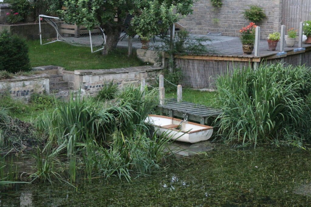 white and brown boat on green grass near brown wooden fence during daytime
