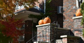 two pumpkins sitting on top of a brick wall