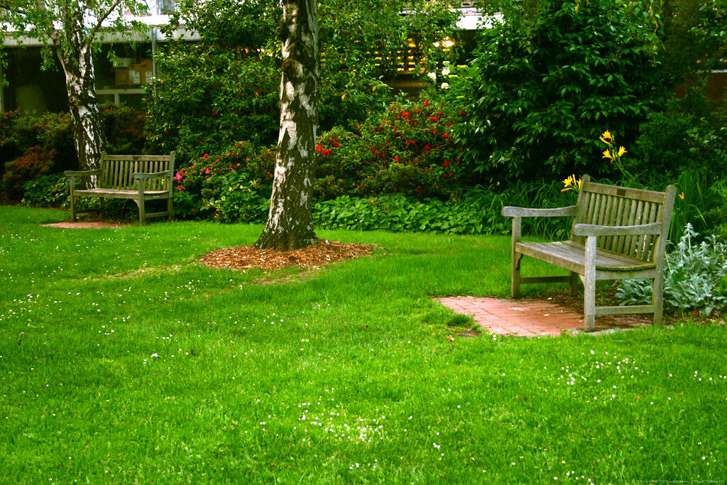 Lawn