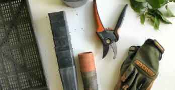 black pruning shears beside green gloves