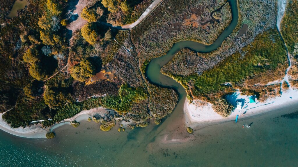 An aerial view of a river running through a forest