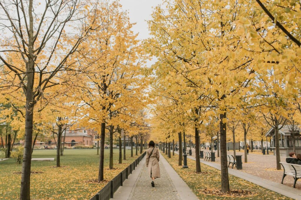 Woman walking in a leafy park with vibrant autumn foliage.