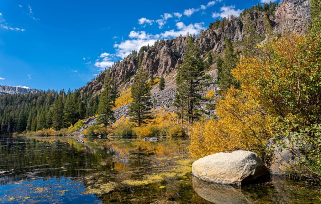 Mammoth lakes Fall