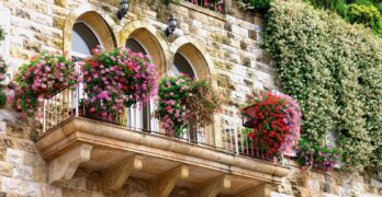 a building with a bunch of flowers on the balconies