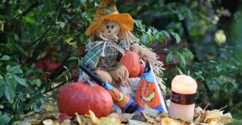 halloween, halloween decoration, halloween decor, nature, garden decoration, autumn decor, garden