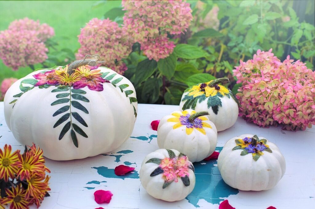 fall, autumn, pumpkins, white pumpkins, decorations, decoupage, nature, colorful, decoupage, decoupage, decoupage, decoupage, decoupage