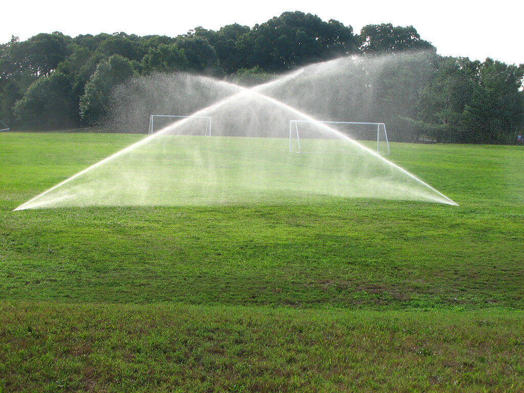 Lawn