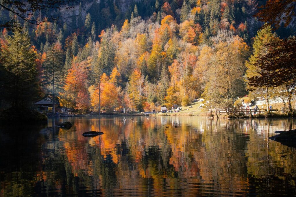 Peaceful autumn scene with vibrant tree reflections at a lake in Kandergrund, Switzerland.
