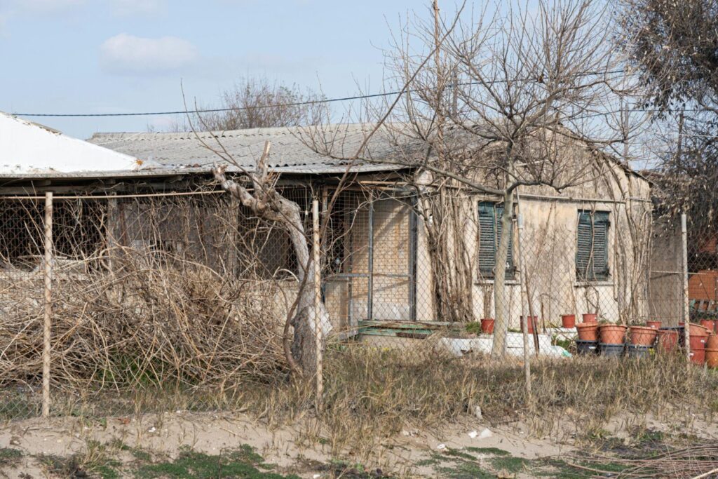 Rustic abandoned house surrounded by barren trees in Spiatza, Greece.