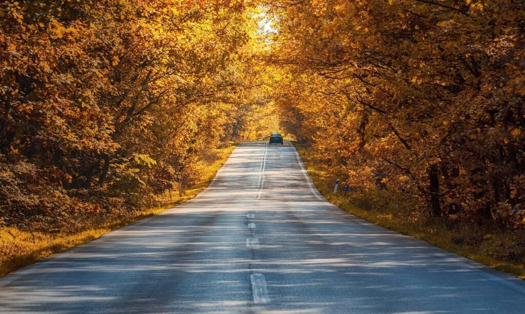 road, autumn, trees, leaves, atmosphere, outdoors, fall, season, nature, travel, exploration, road, road, road, autumn, autumn, autumn, autumn, autumn, fall, nature