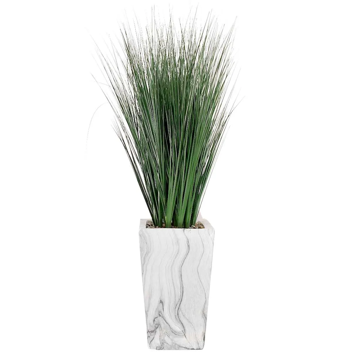 Tall Grasses for Vertical Interest
