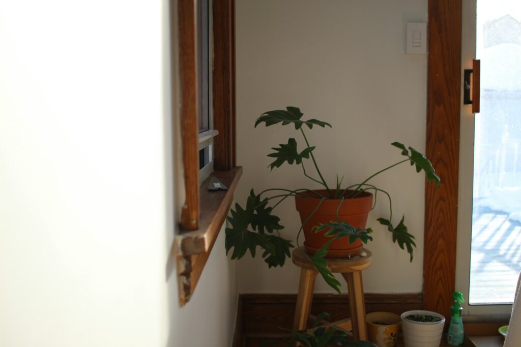a potted plant sitting on top of a wooden stool