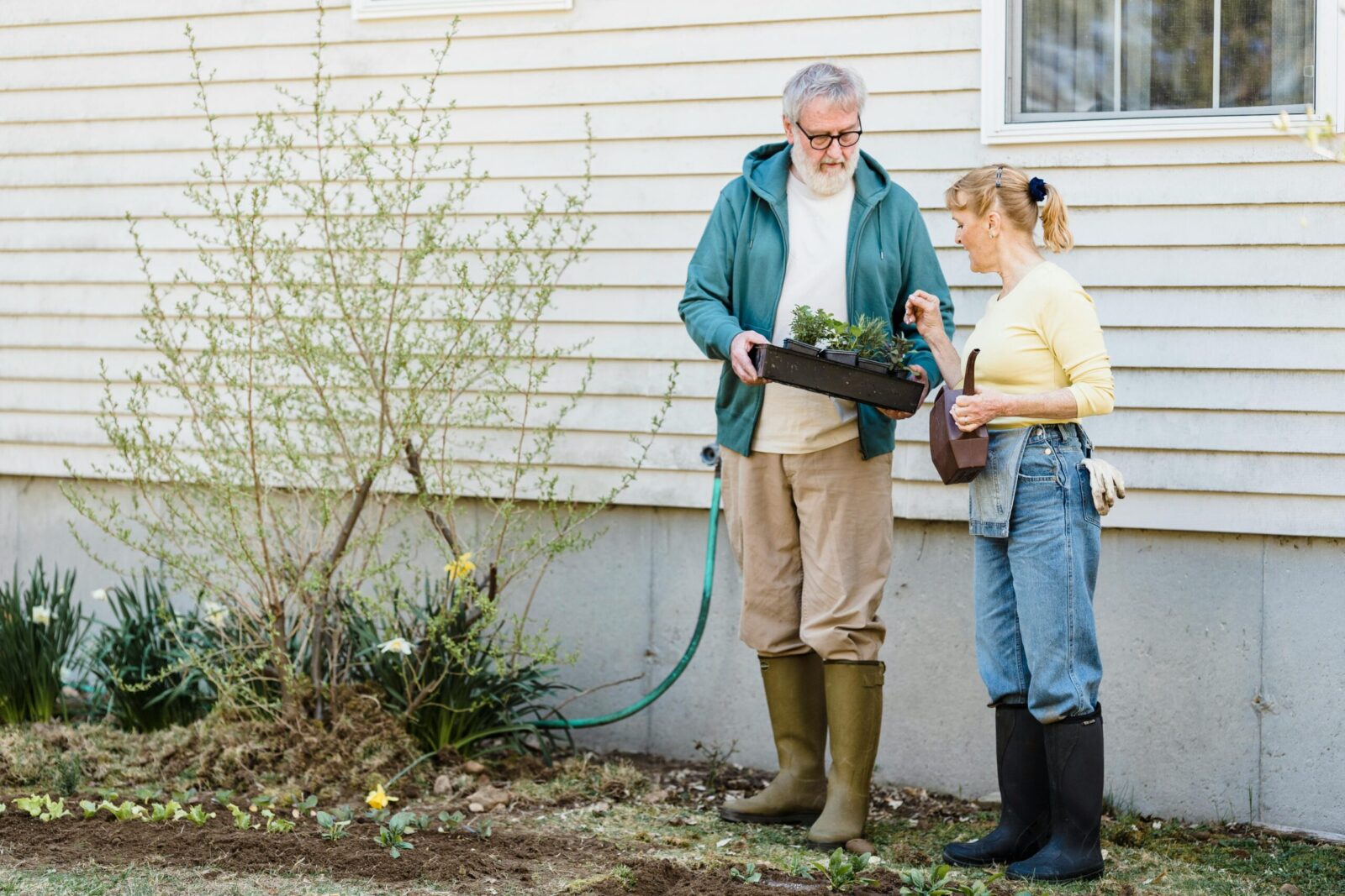 12 Invasive Plants That Can Ruin Your Yard | The WiC Project Blog