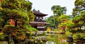 Explore the serene beauty of Ginkaku-ji Temple in Kyoto, surrounded by vibrant autumn foliage and tranquil gardens.