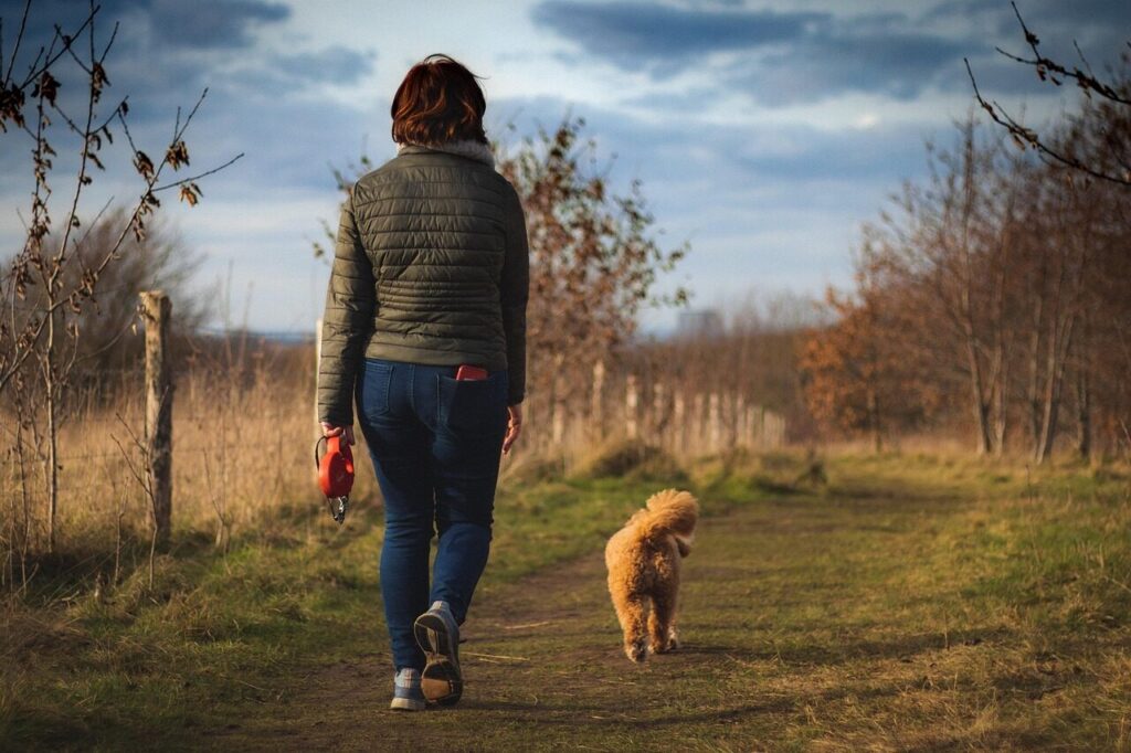 woman, dog, path, walk, dog walk, winter, outdoors, surrey, pet, england, epsom, animal, nature, field, grass, cavapoo, cavapoochon
