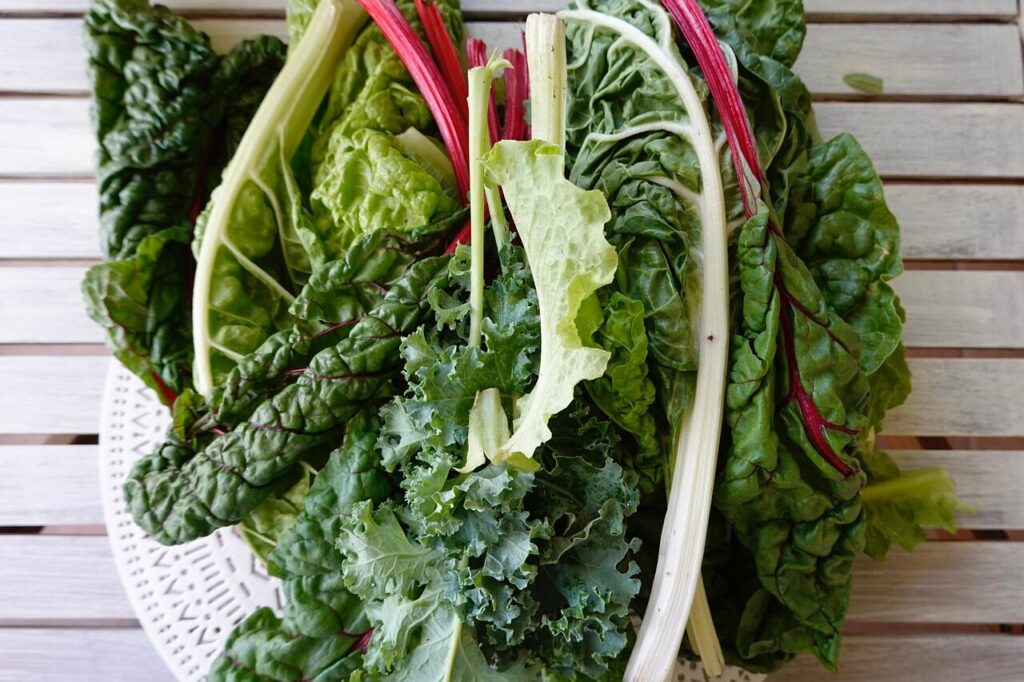 leaves, salad, nature, vegetables, swiss chard, fresh, healthy, green