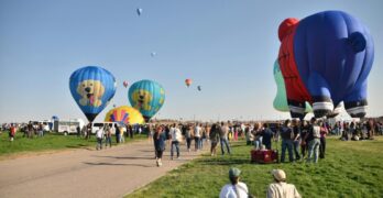 Lively scene at Albuquerque Balloon Fiesta with large hot air balloons and crowds enjoying the event.