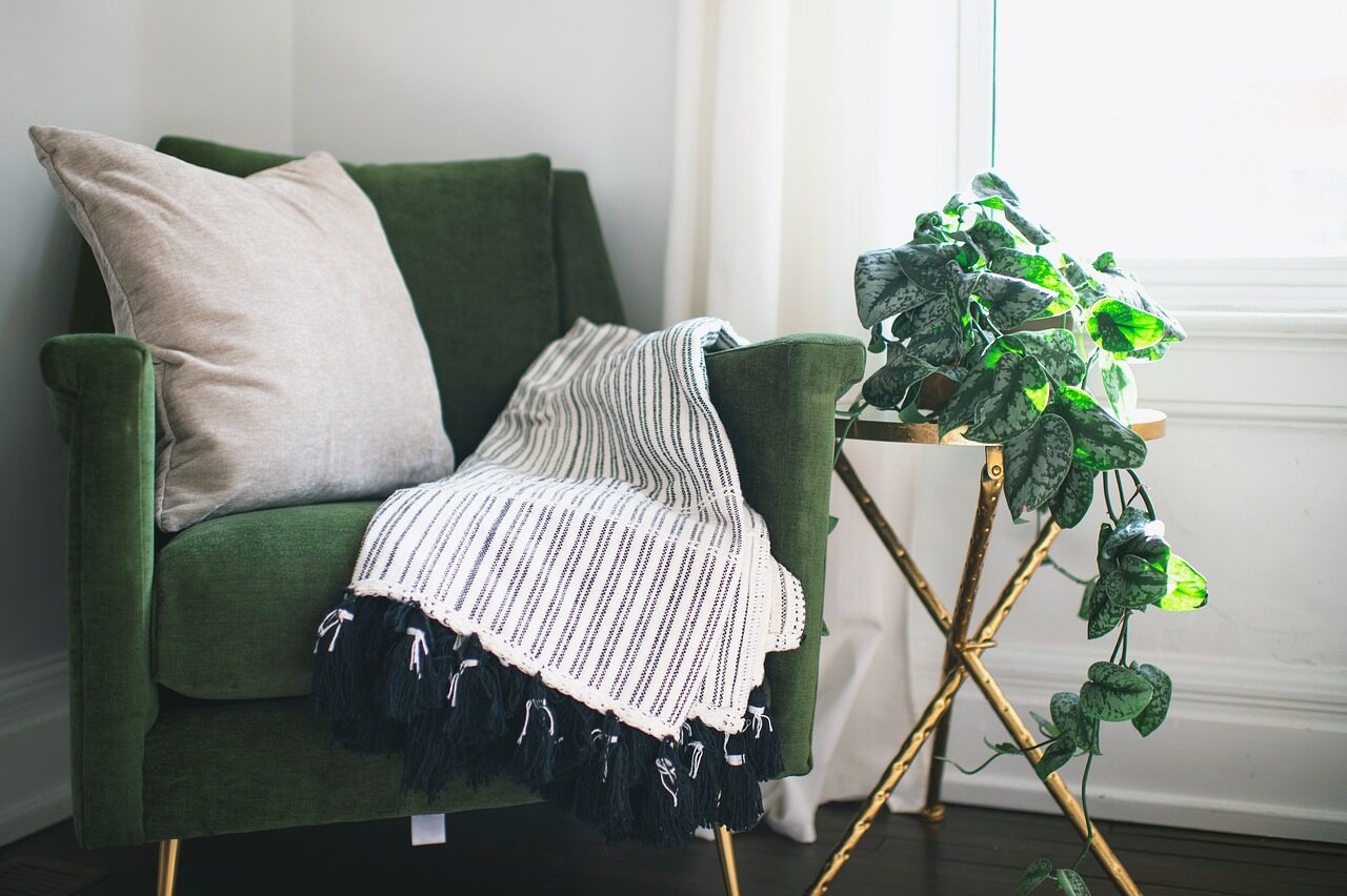 chair, home, room, plant, ivy, interior, table, blanket, pillow, curtain, clean, nature, drapes, silver satin ivy, still life