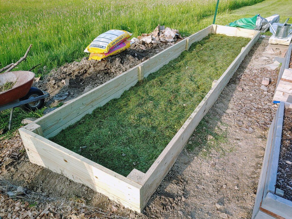 Garden Bed