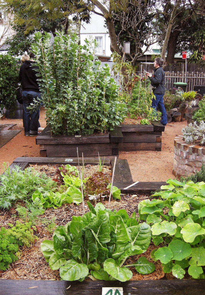Garden Bed