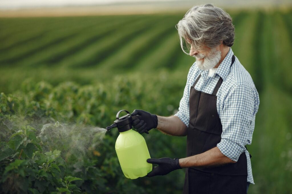 Senior man in apron using spray bottle on lush green farmland during daytime, enhancing crop health.
