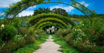 single perspective of pathway leading to house