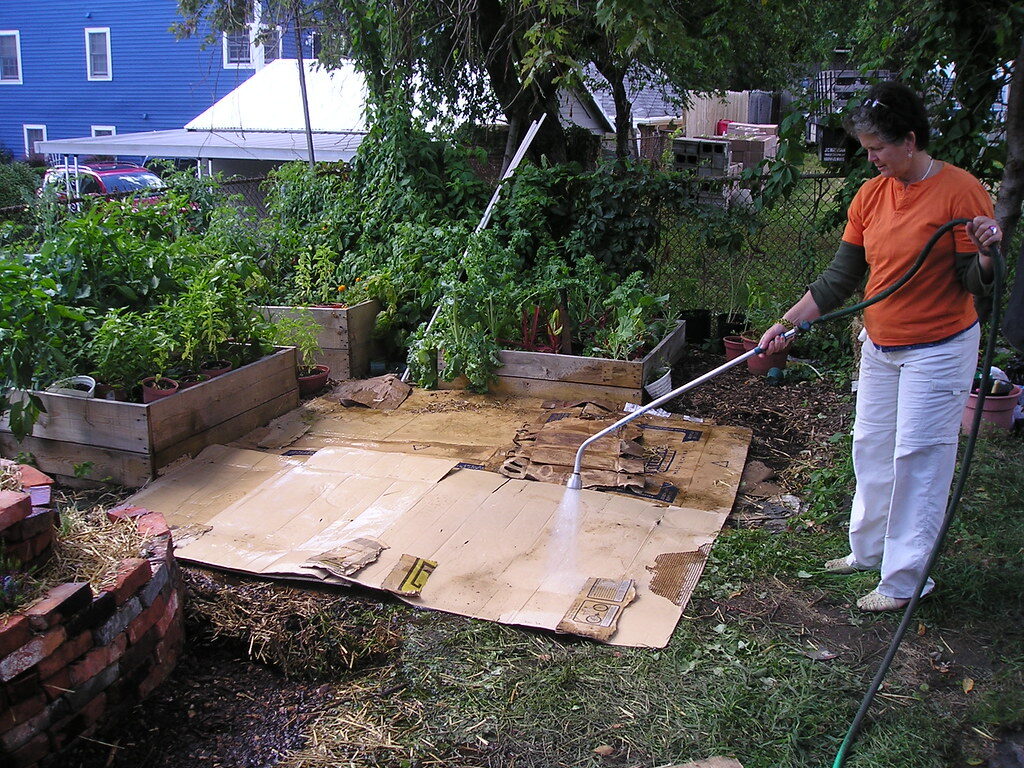 Garden Bed