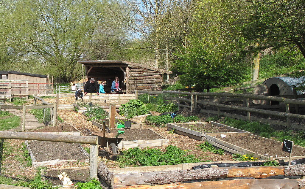 Garden Bed