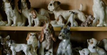 Charming collection of vintage porcelain dog figurines on wooden shelves.