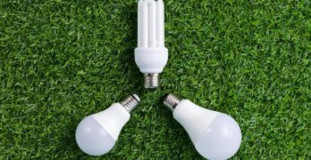 Three energy-efficient light bulbs placed on vibrant green grass, symbolizing sustainable energy.