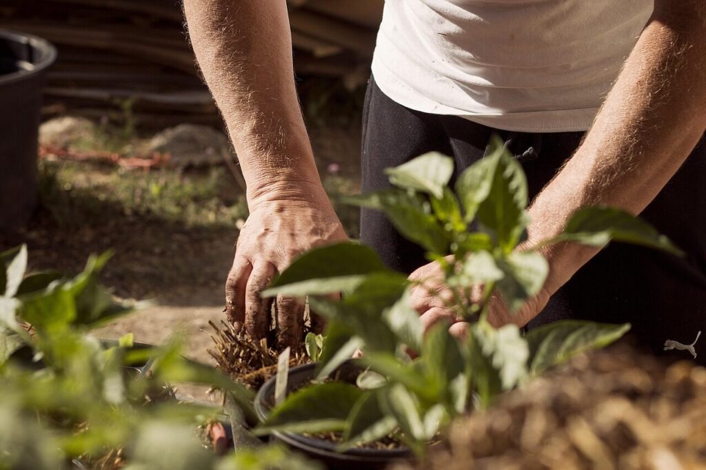 garden, working hands, dirt, nature, earthing, mother earth, plants, planting, earth day