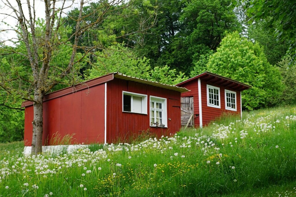 small, house, barn, tiny home, mini, meadow, field, flower wallpaper, finished, wood, multicoloured, forest, beautiful flowers, nature, summer, sweden, scandinavia, germany, home, flower background, comfortable, happiness, tree, red, bordo, flower, building, architecture