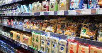 cheese, refrigerator, processed, dairy, production, supermarket, grocery store, food, dairy, supermarket, supermarket, supermarket, supermarket, supermarket, grocery store, grocery store, grocery store