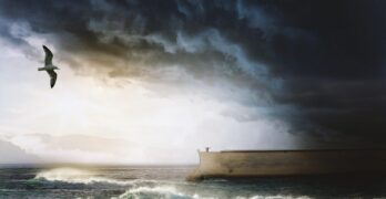 noah's ark, sea, seagull, ship, nature, ark, noah, biblical, waves, storm, clouds, man, mountains