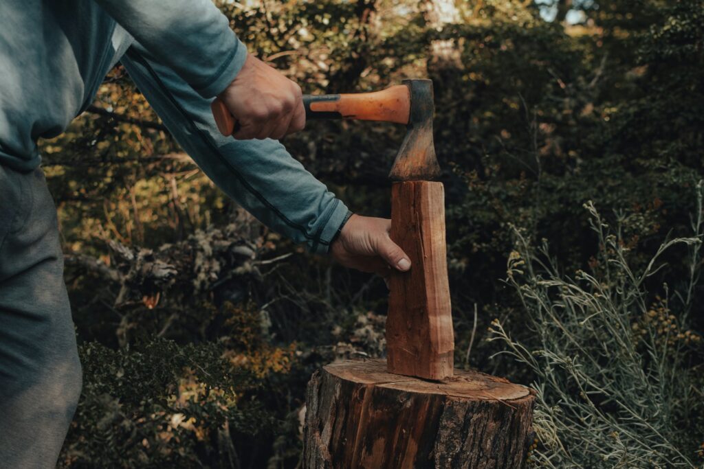 a man holding a large axe over a tree stump