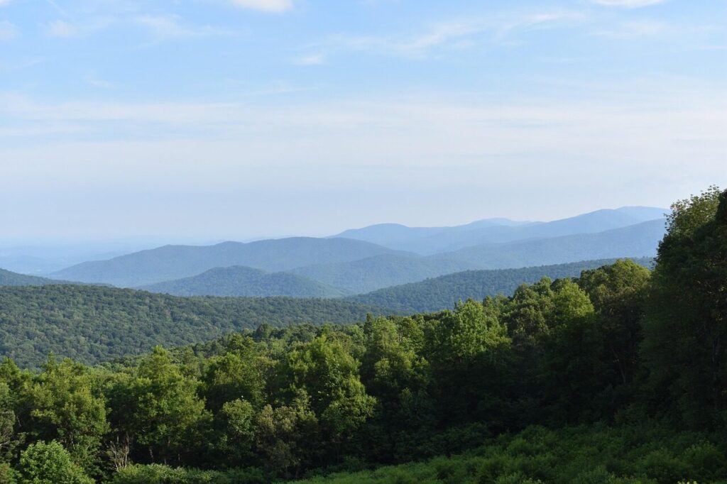 overlook, view, hike, sky, mountains, nature, landscape, trees, scenic, virginia, tourism, national park, national, park, shenandoah, bears, america, virginia, shenandoah, shenandoah, shenandoah, shenandoah, shenandoah