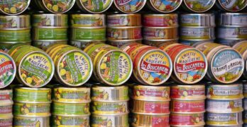 canned goods, cans, canned food, finished products, meal, tin can, fish, can, nature, shelf, food, supermarket, sardines, potted, rifle, packaging
